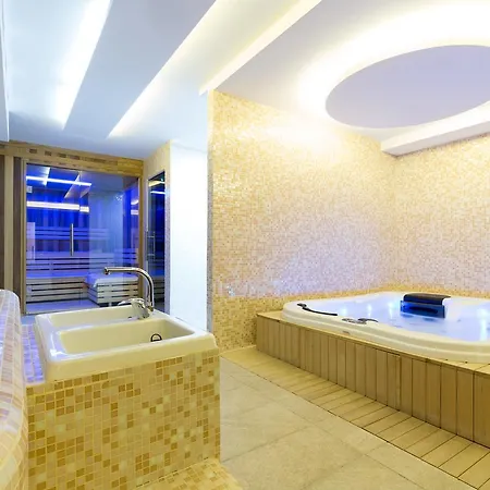 萨沃伊城市酒店 酒店