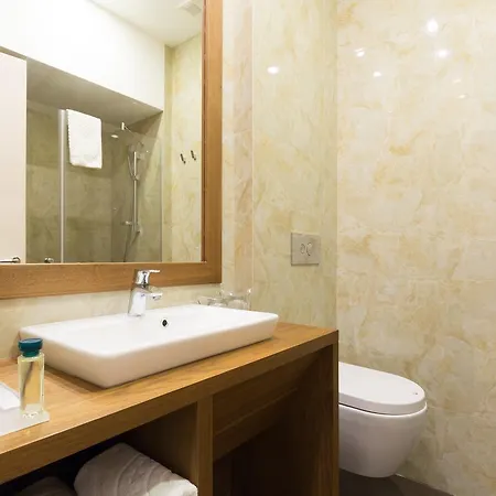 萨沃伊城市酒店