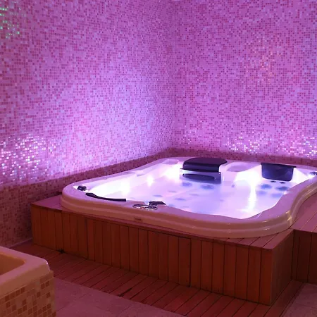 萨沃伊城市酒店 酒店 贝尔格莱德